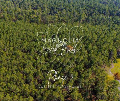 0311 Magnolia Ranch Road Onalaska TX 77360