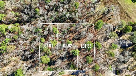 Lots 81, 82, & 83 Lake Oaks Circle Coldspring TX 77331