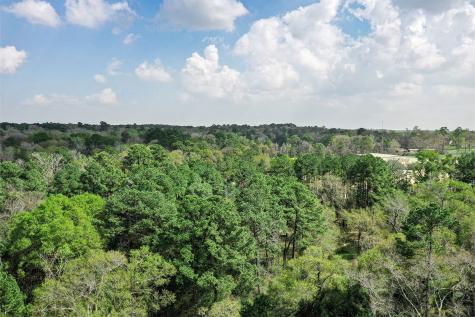 4 Acres Highway 75 N Willis TX 77378