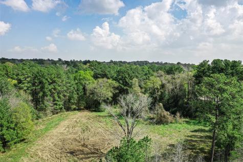 4 Acres Highway 75 N Willis TX 77378