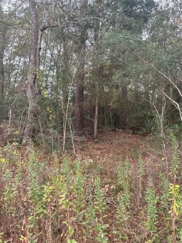 Tbd County Road 427 Dayton TX 77535