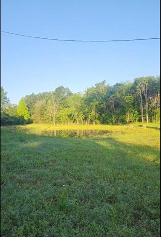 A-342 County Road 325 Oakwood TX 75855