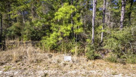 044 King Ranch Road South Road Onalaska TX 77360