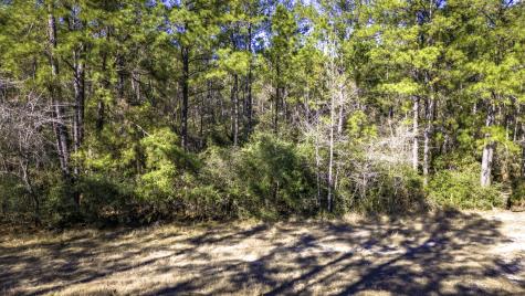 044 King Ranch Road South Road Onalaska TX 77360