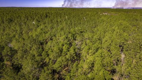 044 King Ranch Road South Road Onalaska TX 77360