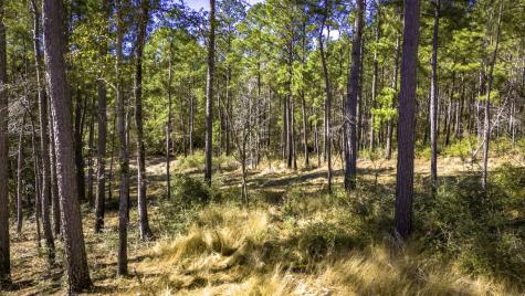 044 King Ranch Road South Road Onalaska TX 77360