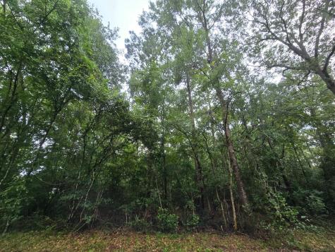 1208 County Road 377 Cleveland TX 77327