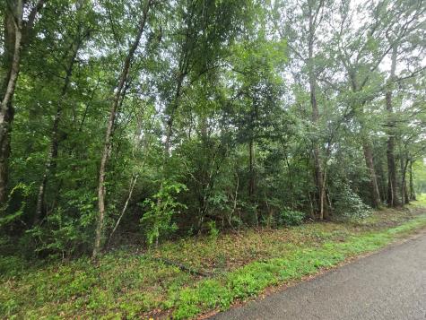 1208 County Road 377 Cleveland TX 77327