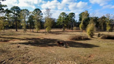 373 County Road 2125 Crockett TX 75835