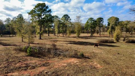 373 County Road 2125 Crockett TX 75835