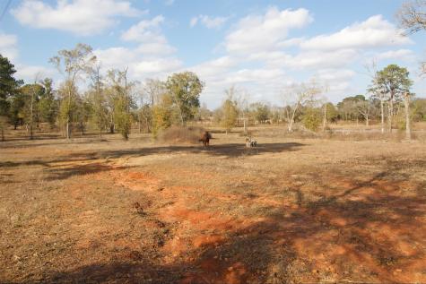 373 County Road 2125 Crockett TX 75835