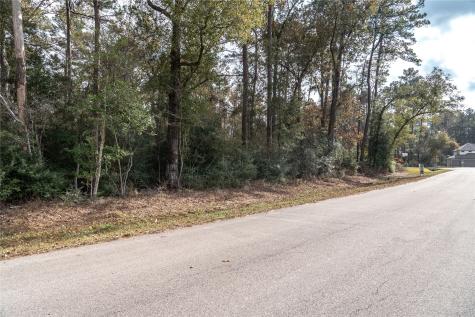 3010 Parthenon Place New Caney TX 77357