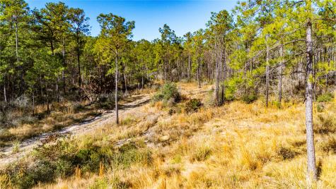 025 Magnolia Ranch Road Road Onalaska TX 77360