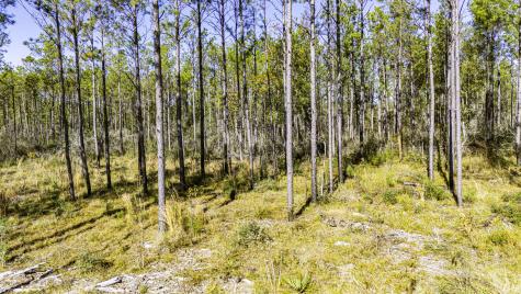 025 Magnolia Ranch Road Road Onalaska TX 77360