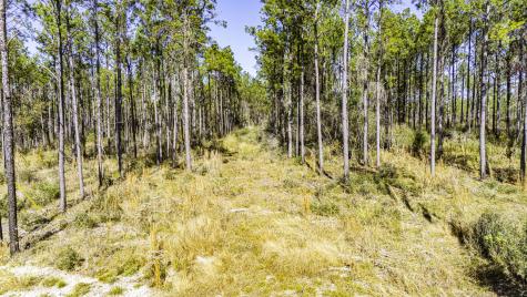 025 Magnolia Ranch Road Road Onalaska TX 77360