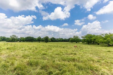 3148 Mill Creek Ranch Road New Ulm TX 78950