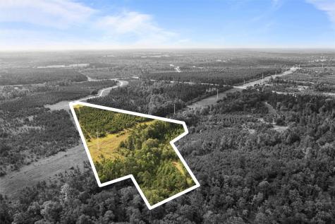0 Caldwell Lovelady TX 75851