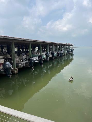 33 Lot 33 Palm Beach Galveston TX 77554