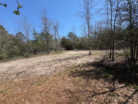 00 County Road 4180 Lovelady TX 75851