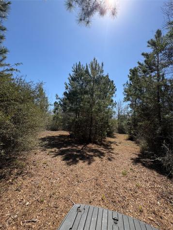 00 County Road 4180 Lovelady TX 75851