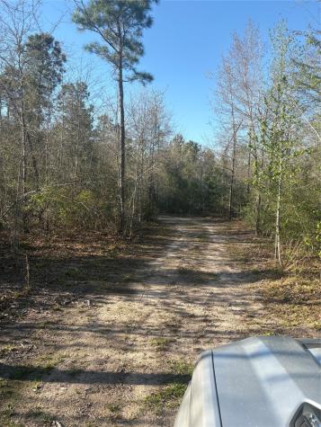 00 County Road 4180 Lovelady TX 75851