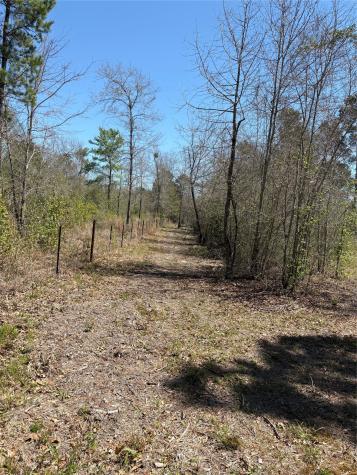 00 County Road 4180 Lovelady TX 75851
