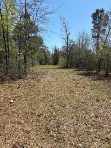 00 County Road 4180 Lovelady TX 75851