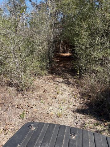 00 County Road 4180 Lovelady TX 75851