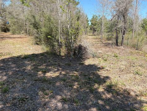00 County Road 4180 Lovelady TX 75851