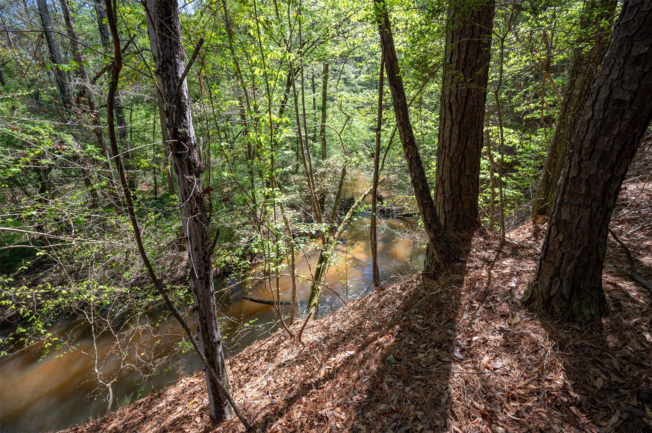 Tbd County Road 138 Jasper TX 75951