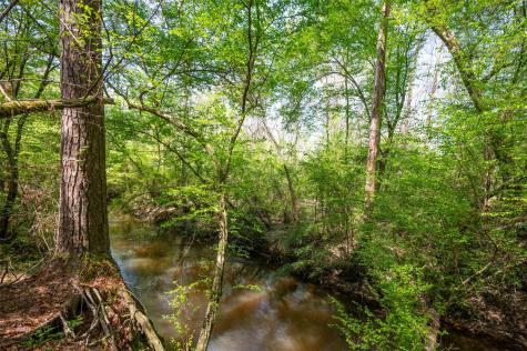 Tbd County Road 138 Jasper TX 75951