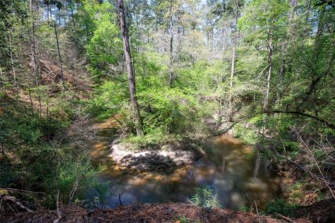 Tbd County Road 138 Jasper TX 75951