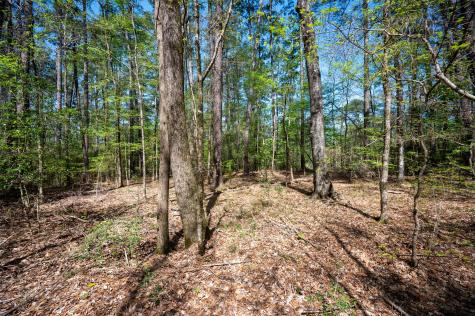 Tbd County Road 138 Jasper TX 75951