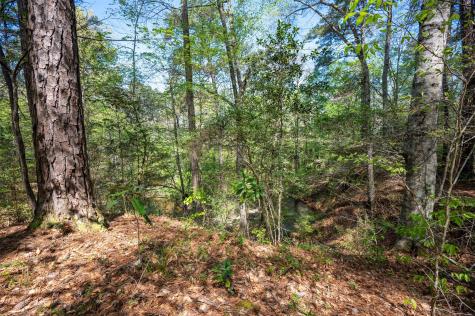 Tbd County Road 138 Jasper TX 75951