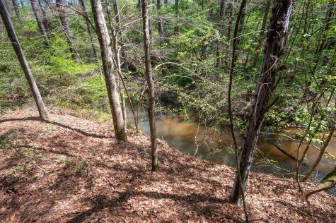 Tbd County Road 138 Jasper TX 75951