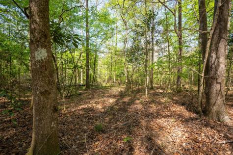 Tbd County Road 138 Jasper TX 75951