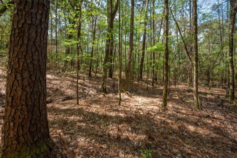 Tbd County Road 138 Jasper TX 75951