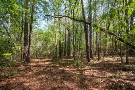 Tbd County Road 138 Jasper TX 75951