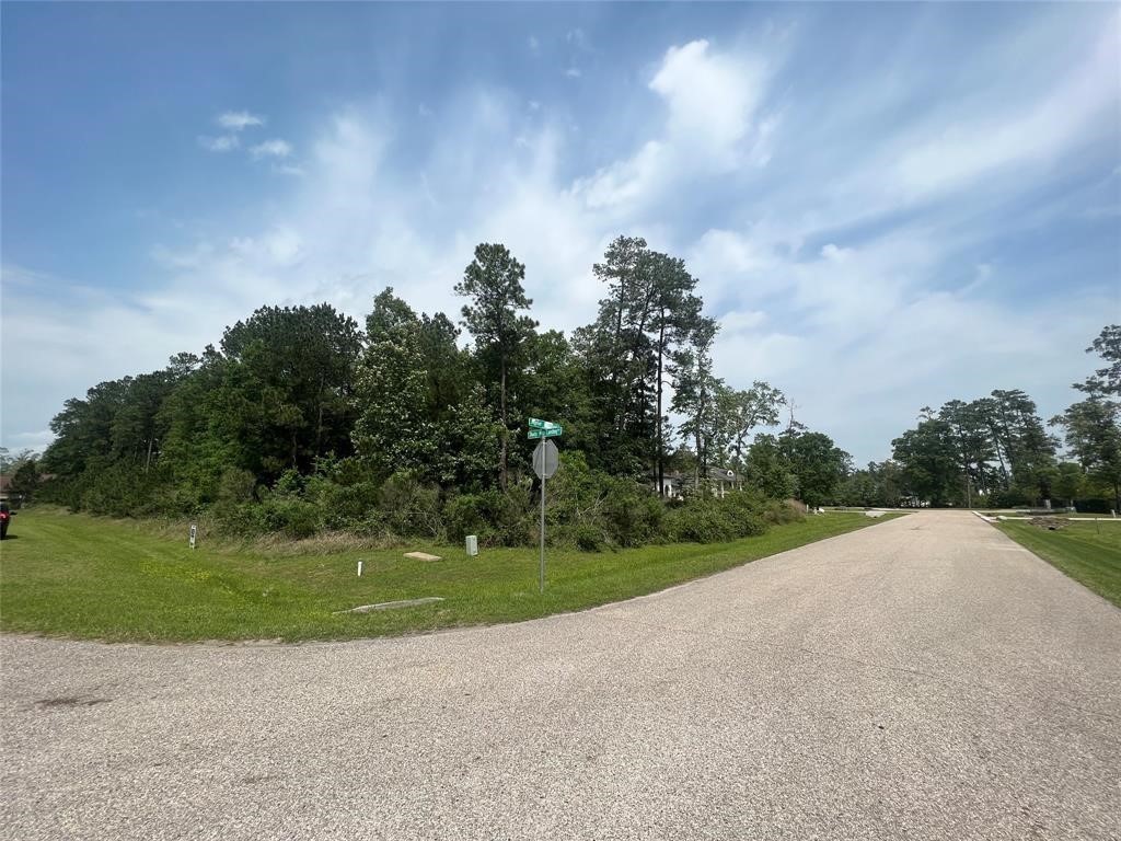 27403 Jupiter Landing Court Spring TX 77386