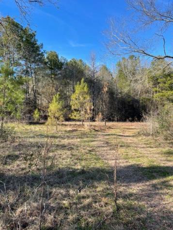 Tbd Meekins Road Cleveland TX 77328