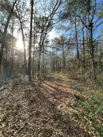 Tbd Meekins Road Cleveland TX 77328