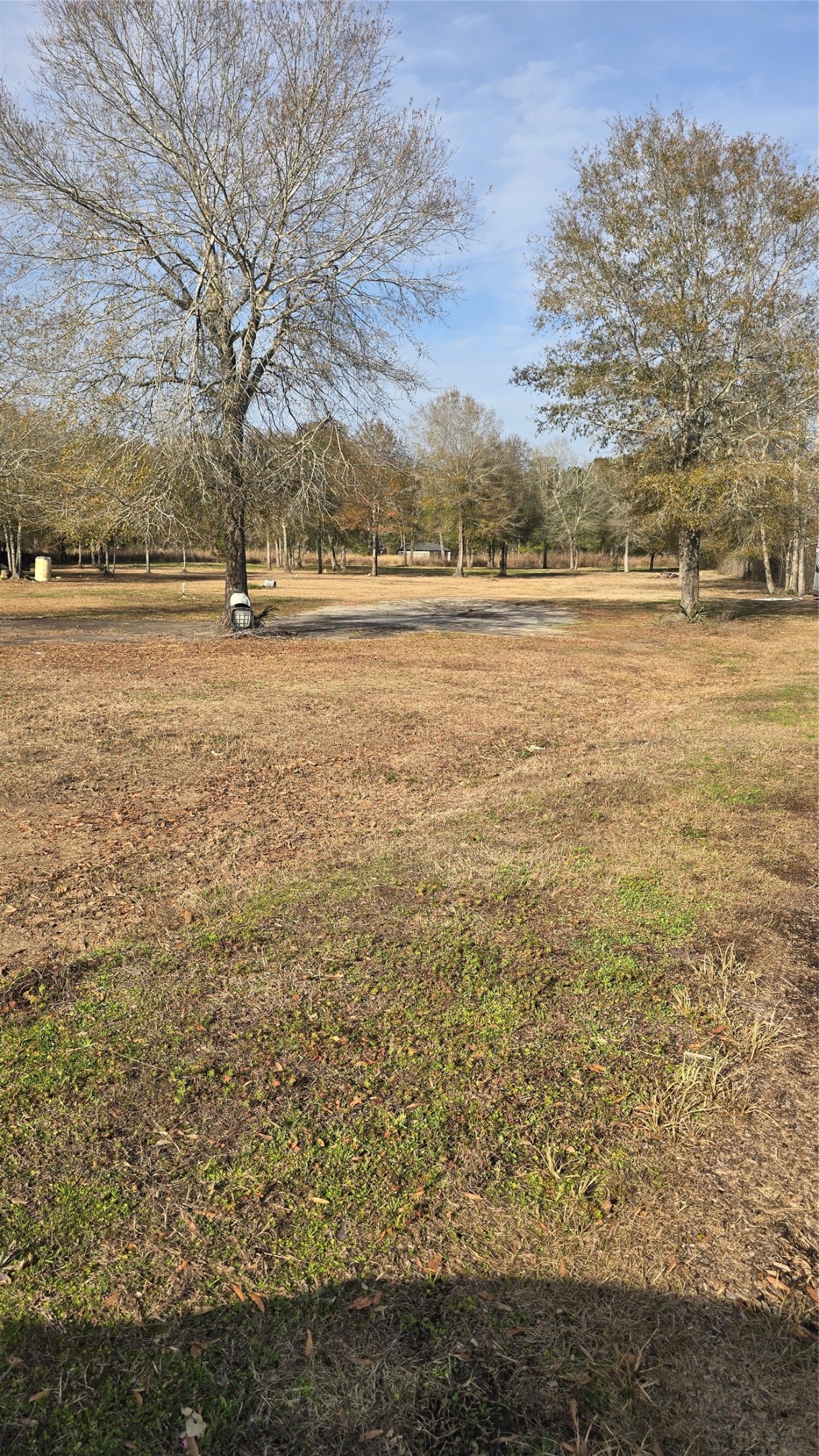 254 County Road 48761 Dayton TX 77535
