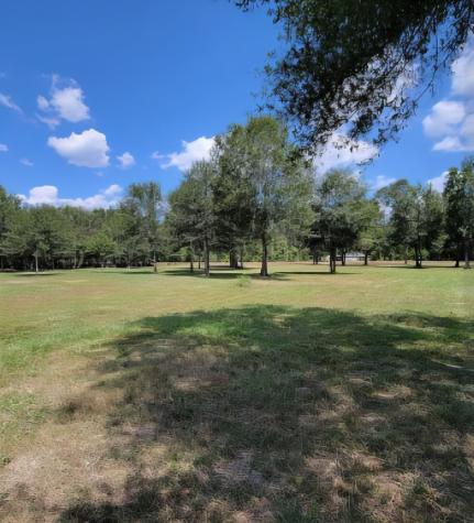 254 County Road 48761 Dayton TX 77535