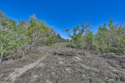 000 Cr 406 Gonzales TX 78629