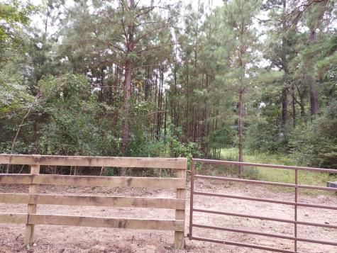 811 Plantation Drive Livingston TX 77351