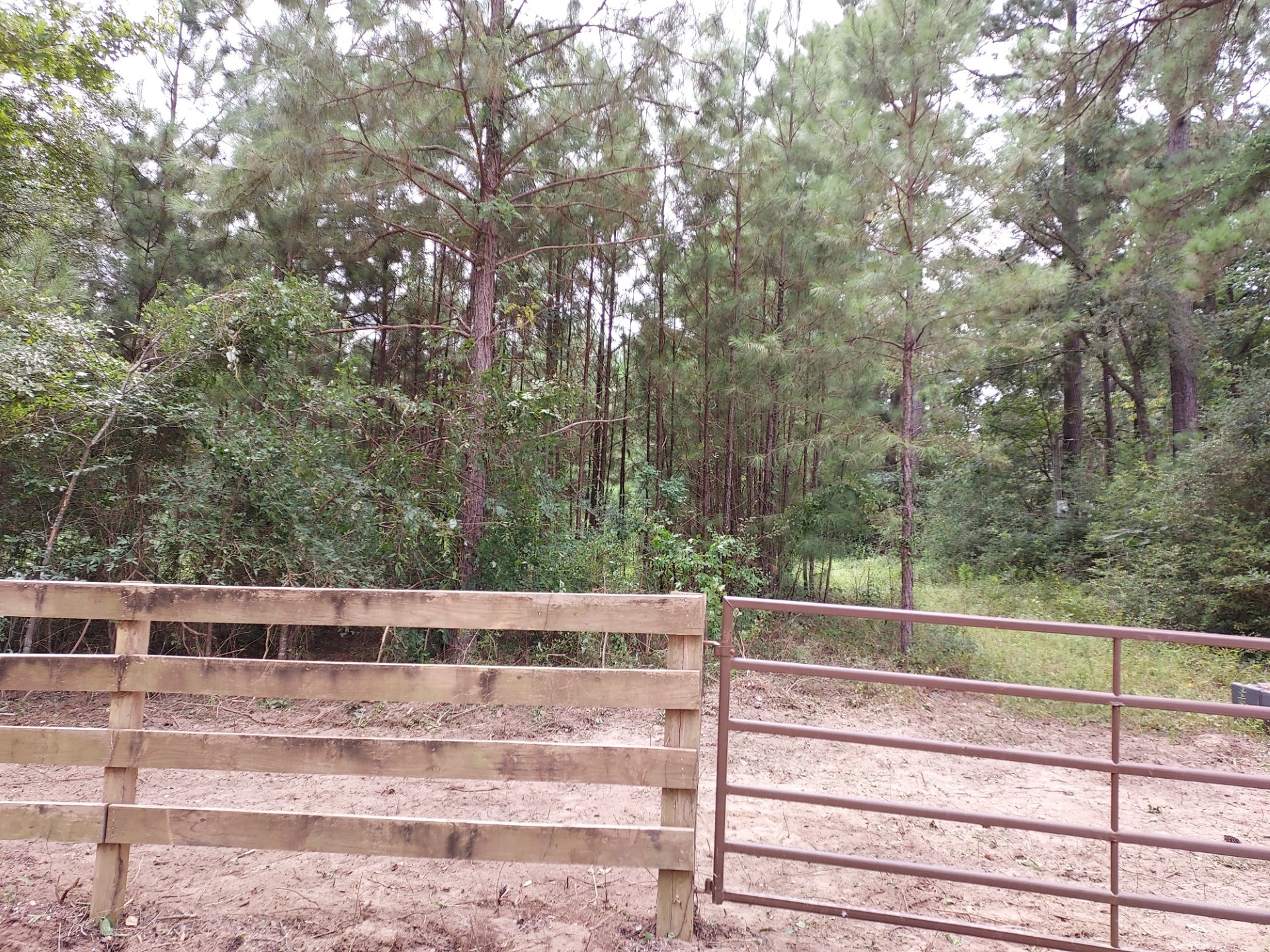 811 Plantation Drive Livingston TX 77351