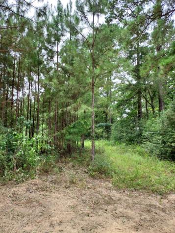 811 Plantation Drive Livingston TX 77351