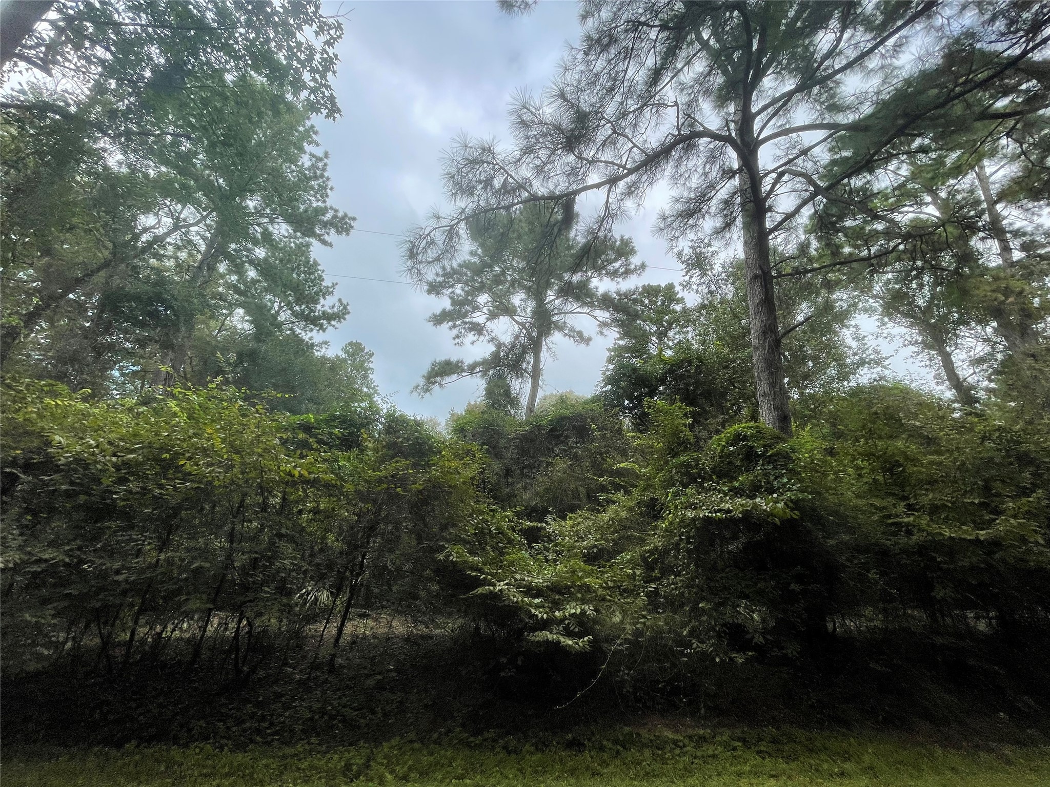 0 Corolla Road Magnolia TX 77354