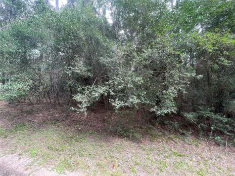 0 Corolla Road Magnolia TX 77354