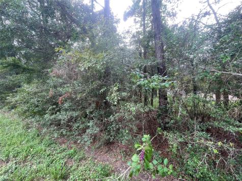 0 Corolla Road Magnolia TX 77354